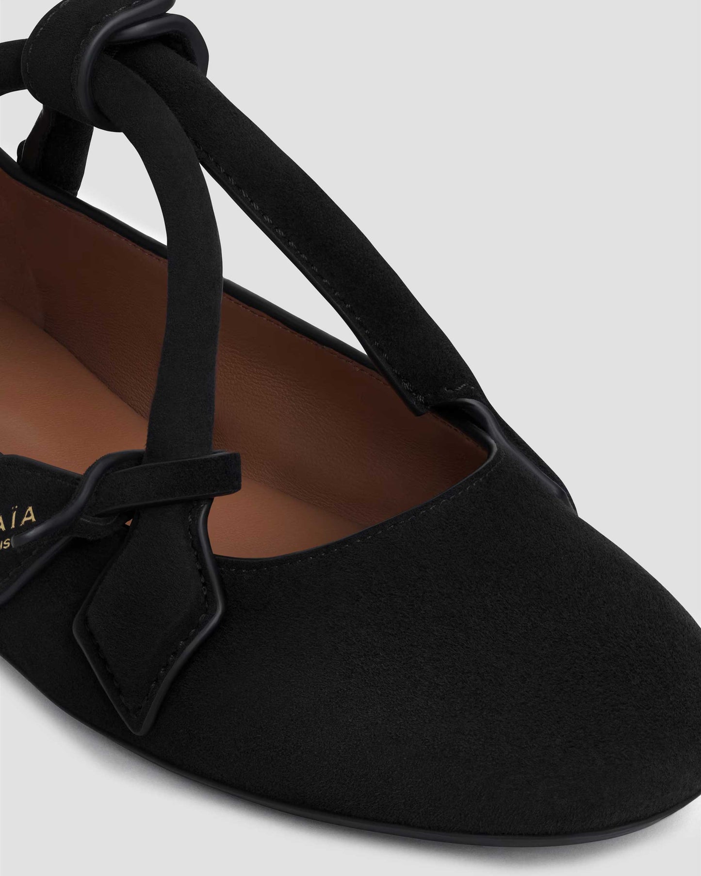 LE TECKEL BALLET FLATS IN SUEDE GOATSKIN