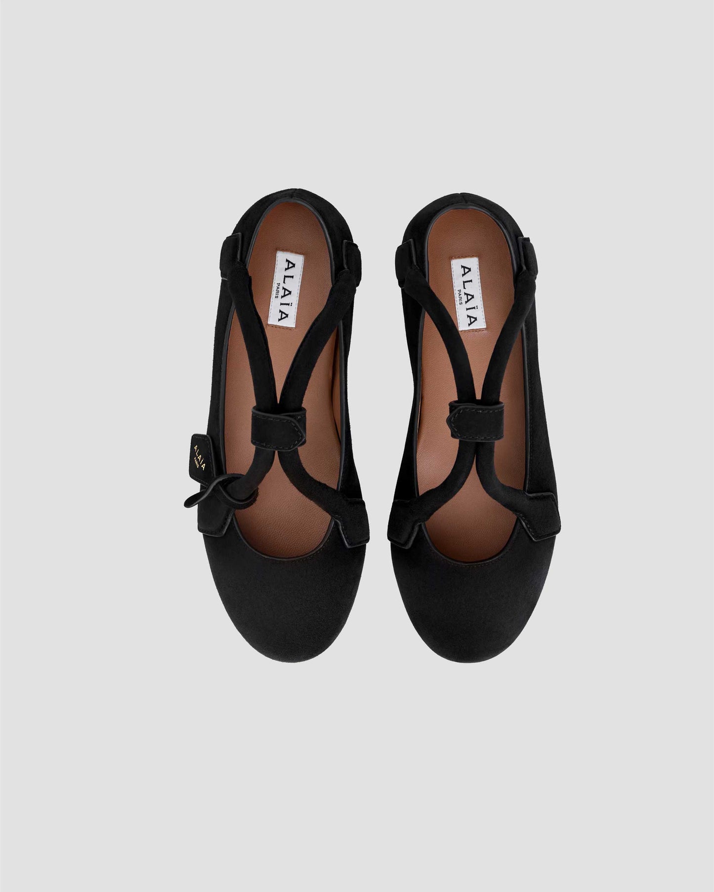 LE TECKEL BALLET FLATS IN SUEDE GOATSKIN